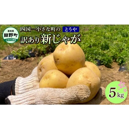 ふるさと納税 野菜類 じゃがいも 高知県 田野町 ふるさと納税 先行受付:2026年5月下旬以降発送開始予定 大野台地で採れた 令和8年産新じゃがいも『とうや』5…