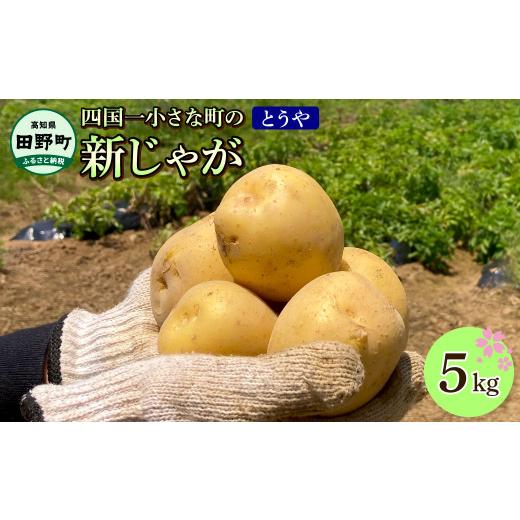 ふるさと納税 野菜類 じゃがいも 高知県 田野町 ふるさと納税 先行受付:2026年5月下旬以降発送開始 大野台地で採れた 令和8年産新じゃがいも『とうや』5kg 5…