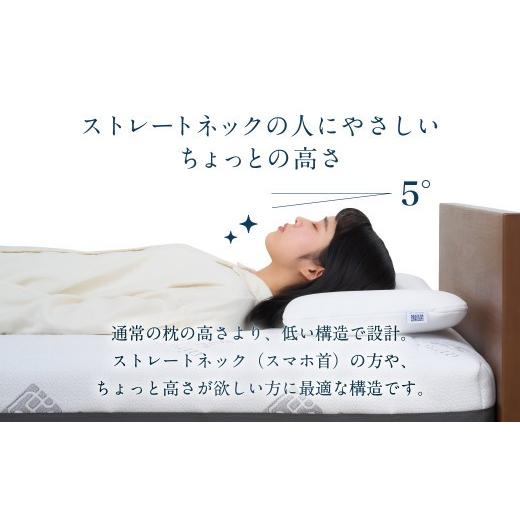ふるさと納税 タオル・寝具 枕 愛知県 幸田町 エアウィーヴ ピロースリム “みな実のまくら” ギフトBOX仕様 (ピローケース スリム付) ｜ エアウィーヴ 創業の…_5