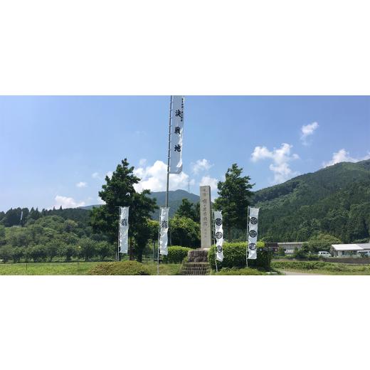 ふるさと納税 ウナギ 岐阜県 関ケ原町  毎月定期便 三河一色産 備長炭手焼き 昭和9年打ち立てる 魚しげのこだわりのウナギ 蒲焼2尾 全6回 4012733