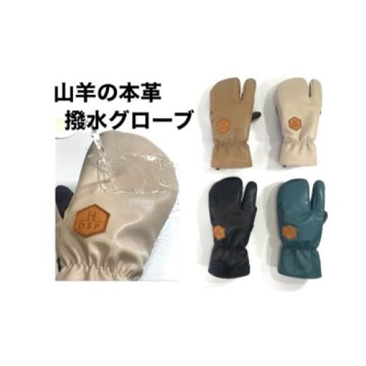 白馬村発ブランドDSP スキースノボ　グローブ　Lサイズ ふるさと納税 スポーツ・アウトドア 長野県 白馬村 DSPグローブ 撥水