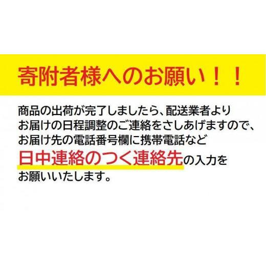 ふるさと納税 大阪府 堺市 ヱビス自転車　折りたたみ 自転車 ゴールデンロッキー206 シマノ製 外装6段変速 20インチ 完成品【マットブラック】 マットブラック｜furusatochoice｜05