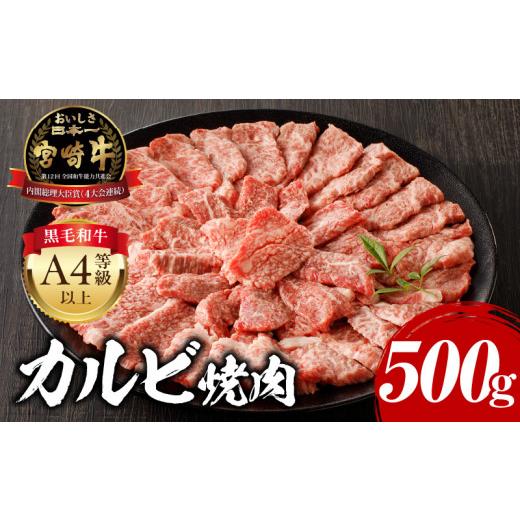 ふるさと納税 牛肉 焼肉・バーベキュー 宮崎県 宮崎市 2026年7月発送 宮崎牛 カルビ焼肉 500g_M243-004-jul 2026年7月発送