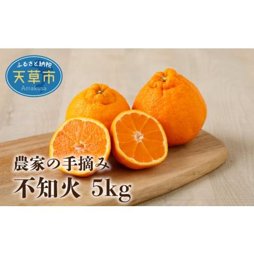 ふるさと納税 みかん・柑橘類 熊本県 天草市 S040-011_ 2月発送 農家の手摘み不知火 約5kg 家庭用[先行受付] 2026年2月中発送