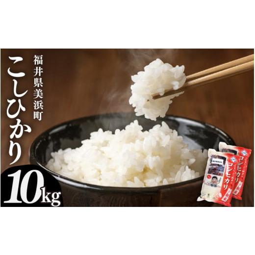ふるさと納税 米 コシヒカリ 福井県 美浜町 先行予約 令和7年産・新米 米 コシヒカリ 計10kg (5kg × 2袋)精米 福井県美浜町産 2025年10月下旬発送予定 m60…