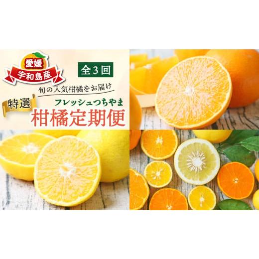 ふるさと納税 果物類 みかん 愛媛県 宇和島市 みかん定期便 特選 贈答用 秀品 旬 柑橘定期便 全3回 愛果28号 媛小春 おまかせ詰合せ フレッシュつちやま 愛媛…