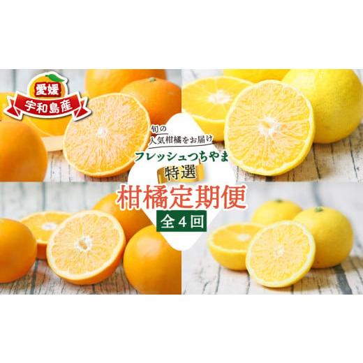 ふるさと納税 果物類 みかん 愛媛県 宇和島市 贈答用 秀品 柑橘定期便 全 4回 みかん定期便 先行予約 愛果28号 媛小春 おまかせ詰合せ 黄金柑 フレッシュつち…