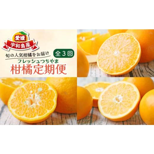 ふるさと納税 みかん・柑橘類 愛媛県 宇和島市 柑橘定期便 全 3回 みかん定期便 家庭用 愛果28号 ポンカン おまかせ詰合せ フレッシュつちやま 季節の柑橘 旬 …