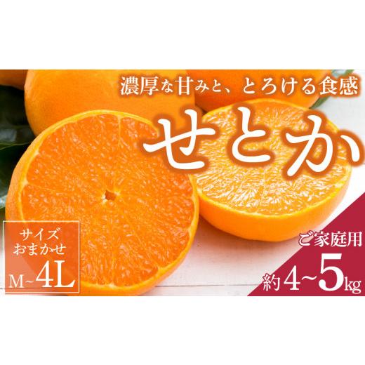 ふるさと納税 みかん・柑橘類 和歌山県 湯浅町 ZD7003_ 2026年先行予約 一度は食べていただきたい 有田産のせとか 訳あり 家庭用 4kg〜5kg (サイズおまかせ)