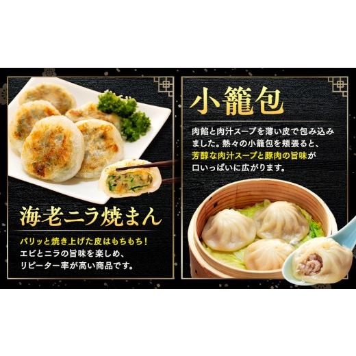 ふるさと納税 加工品等 レトルト 神奈川県 横浜市 中華点心詰合せH（15種 計112個） 横浜中華街 皇朝 ｜肉まん 豚角煮 シウマイ 小籠包 餃子 中華 中華料理 横…の画像