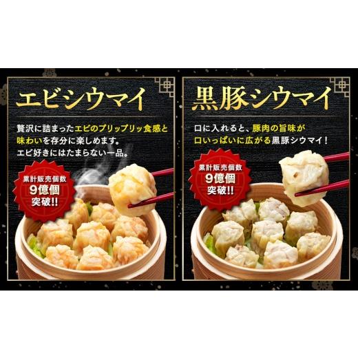 ふるさと納税 加工品等 レトルト 神奈川県 横浜市 中華点心詰合せH（15種 計112個） 横浜中華街 皇朝 ｜肉まん 豚角煮 シウマイ 小籠包 餃子 中華 中華料理 横…の画像