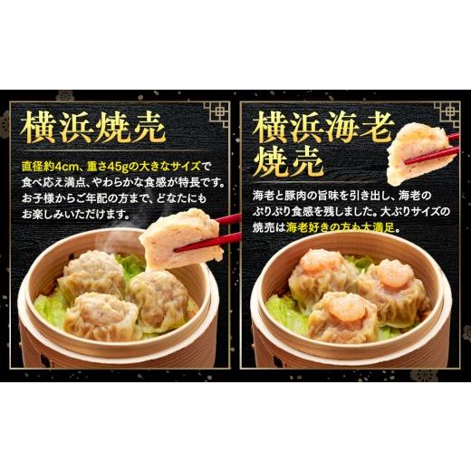 ふるさと納税 加工品等 レトルト 神奈川県 横浜市 中華点心詰合せH（15種 計112個） 横浜中華街 皇朝 ｜肉まん 豚角煮 シウマイ 小籠包 餃子 中華 中華料理 横…の画像