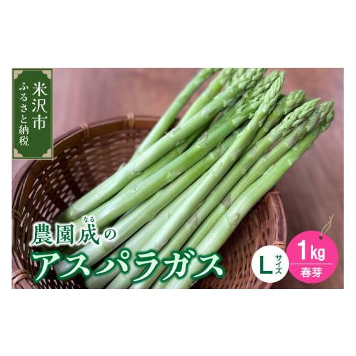 ふるさと納税 野菜類 アスパラガス 山形県 米沢市 [ 先行予約 ] 令和8年産 春芽 アスパラガス L 1kg ( 太物 L以上 )〔 2026年 5月中旬頃 〜 2026年 6月中…