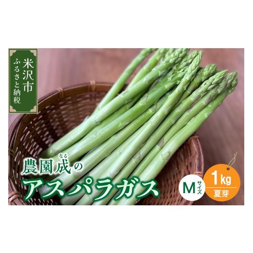 ふるさと納税 野菜類 アスパラガス 山形県 米沢市 [ 先行予約 ] 令和8年産 夏芽 アスパラガス M 1kg ( 細物 M以下 )〔 2026年 7月中旬頃 〜 発送予定 〕 …