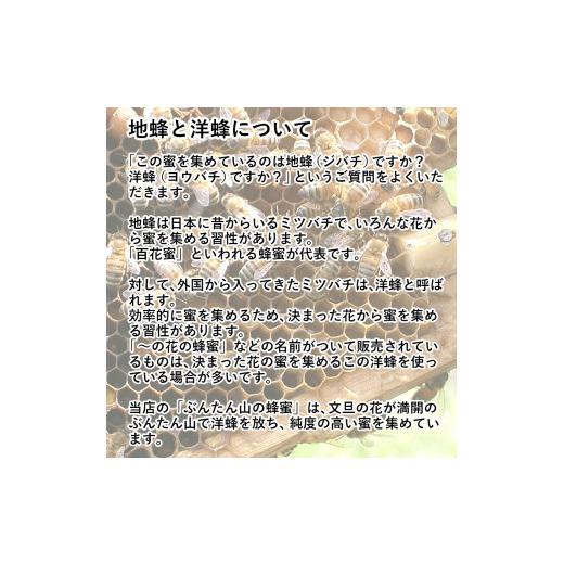 ふるさと納税 加工品等 はちみつ 高知県 土佐市  先行予約 爽やかな香り広がる100%天然蜂蜜 ぶんたん山の蜂蜜 360g 3本入り〈2026年6月頃から順次発送〉 ／ …の画像
