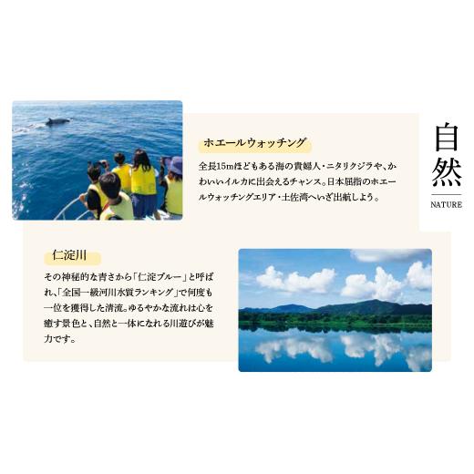 ふるさと納税 加工品等 はちみつ 高知県 土佐市  先行予約 爽やかな香り広がる100%天然蜂蜜 ぶんたん山の蜂蜜 360g 3本入り〈2026年6月頃から順次発送〉 ／ …の画像