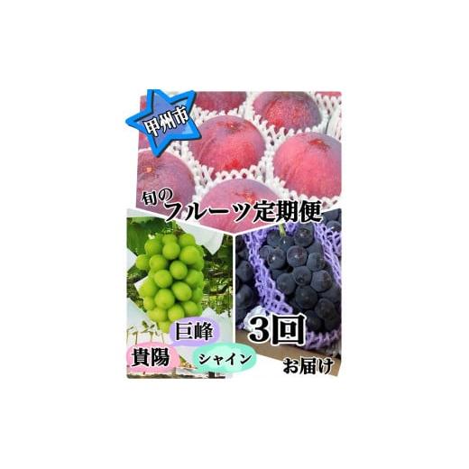 ふるさと納税 果物類 山梨県 甲州市 定期便 すもも&葡萄 いろいろ食べたい よくばりSET 当農園厳選3種 旬のフルーツ定期便3回 2026年発送 (ISI)D4-157 す…