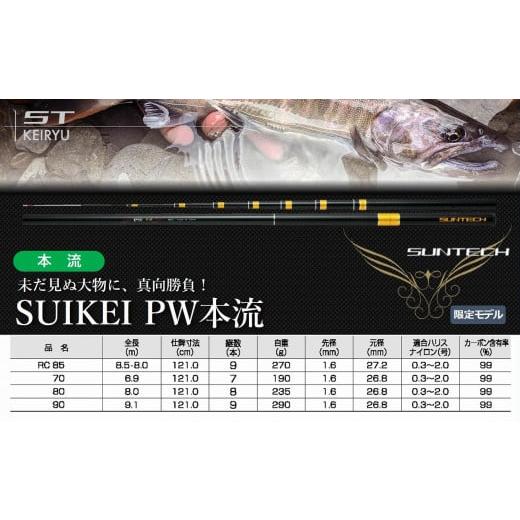 ふるさと納税 兵庫県 西脇市 [日本製・渓流竿]SUIKEI PW 本流 RC 85(206-1) SUIKEI PW本流 RC85(206,000円)