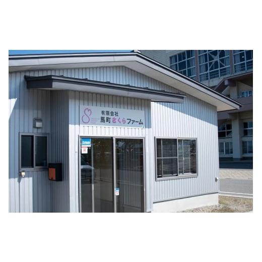 ✤未開封品✤❖ハチワレ×シナモロール❖古本屋×マイメロ♡縫いぐるみ②