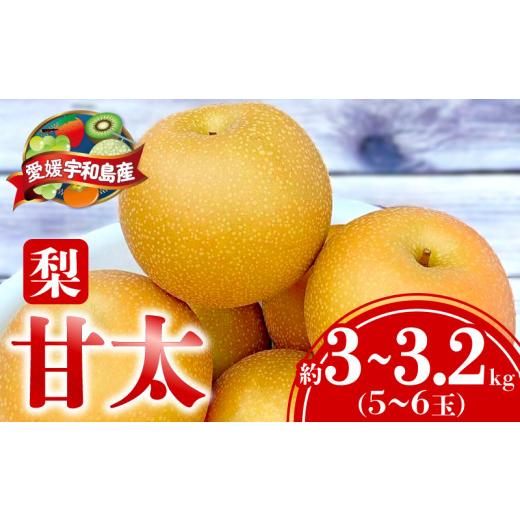ふるさと納税 梨 愛媛県 宇和島市 梨 甘太 3 〜 3.2kg(5〜6玉) 大森城山麓園 先行予約 なし 和梨 ナシ 新品種 果汁 甘い 人気 果物 フルーツ 産地直送 農家…