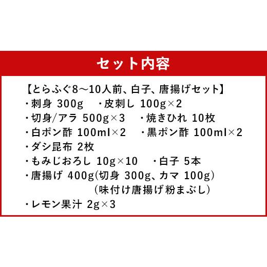 ふるさと納税 フグ 熊本県 上天草市 とらふぐフルコース 極 吉宝ふぐ(40cm赤絵皿全盛り・8〜10人前、白子、唐揚げセット)『焼きひれ／特製ポン酢／もみじおろ…_2