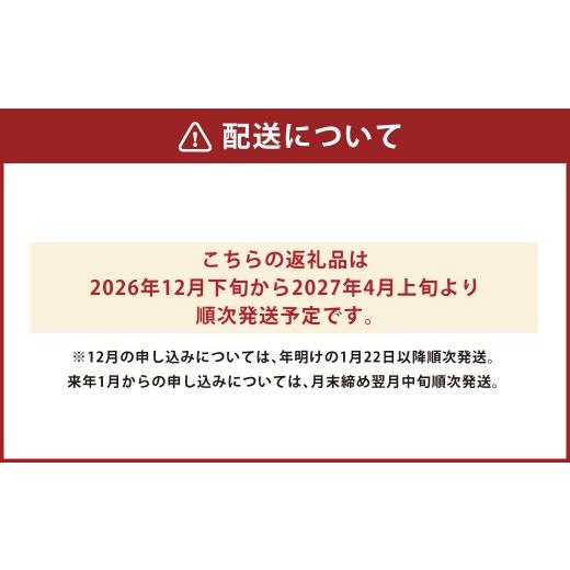 ふるさと納税 フグ 熊本県 上天草市 とらふぐフルコース 極 吉宝ふぐ(40cm赤絵皿全盛り・8〜10人前、白子、唐揚げセット)『焼きひれ／特製ポン酢／もみじおろ…_3