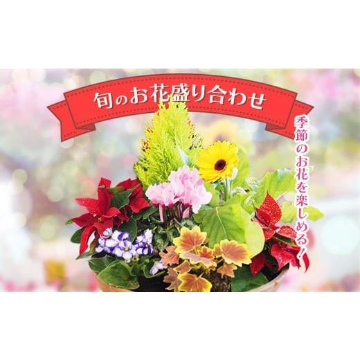 ふるさと納税 花・苗木 埼玉県 さいたま市 季節のお花が楽しめる 旬のお花盛り合わせ