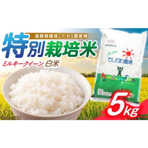 ふるさと納税 米 ミルキークイーン 滋賀県 長浜市 令和7年産 滋賀県 低農薬栽培 ミルキークイーン 白米 5kg 滋賀県長浜市/有限会社もりかわ農場 AQBL023 米 …