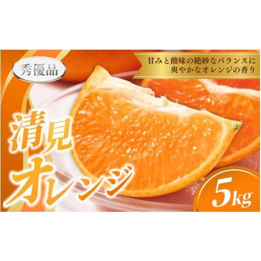 ふるさと納税 みかん・柑橘類 和歌山県 紀美野町 先行予約 秀優品 清見オレンジ 5kg S〜3Lサイズ混合 2027年3月中旬から2027年4月中旬頃に順次発送 /みかん…