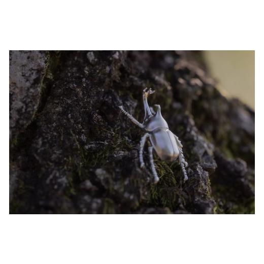ふるさと納税 アクセサリー ネックレス 山梨県 甲斐市 カブトムシネックレス　シルバーカラー　All insects　 セレブ御用達 世界50個限定 運気UP 今、世界中か…_2
