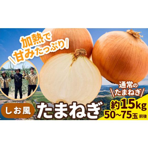 ふるさと納税 野菜類 玉ねぎ 岡山県 笠岡市 たまねぎ 2026年先行予約分 しお風たまねぎ 約15kg《6月上旬-6月末頃出荷》 玉ねぎ たまねぎ 野菜 青果物 岡山県 …の画像
