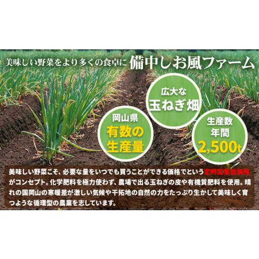 ふるさと納税 野菜類 玉ねぎ 岡山県 笠岡市 たまねぎ 2026年先行予約分 しお風たまねぎ 約15kg《6月上旬-6月末頃出荷》 玉ねぎ たまねぎ 野菜 青果物 岡山県 …の画像