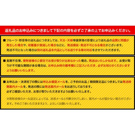 ふるさと納税 野菜類 玉ねぎ 岡山県 笠岡市 たまねぎ 2026年先行予約分 しお風たまねぎ 約15kg《6月上旬-6月末頃出荷》 玉ねぎ たまねぎ 野菜 青果物 岡山県 …の画像