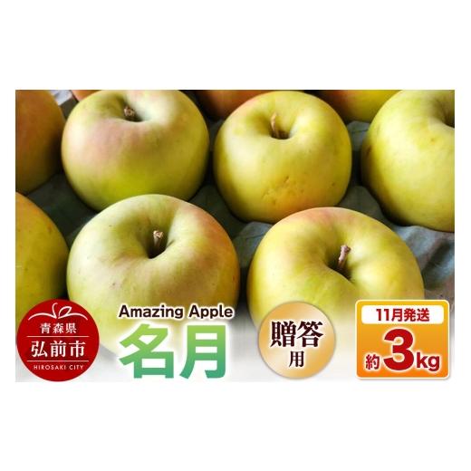 ふるさと納税 りんご 青森県 弘前市 寄附金額見直しました 26年11月下旬発送 りんご 名月 贈答用 約3kg りんご 名月 3kg アップル おいしい お歳暮 お中元 ギ…