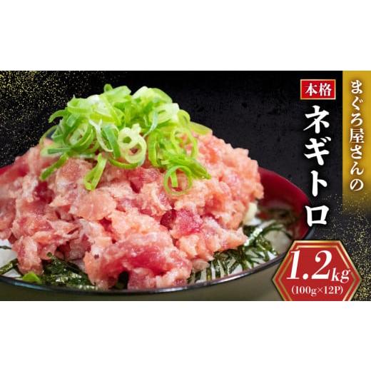 ふるさと納税 マグロ 愛媛県 松山市 1週間程度で発送 ネギトロ 1.2kg ( 100g×12パック ) 冷凍 小分け 便利 1人前 パック まぐろ 鮪 ねぎトロ ねぎとろ 寿司 …