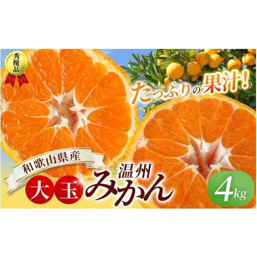 ふるさと納税 果物類 みかん 和歌山県 紀美野町 ボリューム満点 大玉 温州みかん 4kg 秀優混合 2L〜3Lサイズ 2025年12月から2026年3月下旬頃に順次発送 味好農… | 