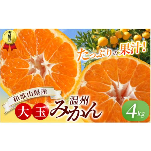 ふるさと納税 果物類 みかん 和歌山県 紀美野町 ボリューム満点 大玉 温州みかん 4kg 秀優混合 2L〜3Lサイズ 2025年12月から2026年3月下旬頃に順次発送 味好農… |  | 01