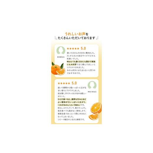 ふるさと納税 果物類 みかん 和歌山県 紀美野町 ボリューム満点 大玉 温州みかん 4kg 秀優混合 2L〜3Lサイズ 2025年12月から2026年3月下旬頃に順次発送 味好農… |  | 02