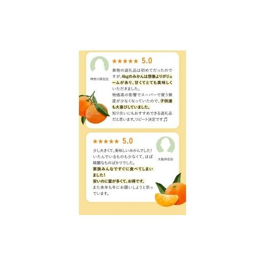 ふるさと納税 果物類 みかん 和歌山県 紀美野町 ボリューム満点 大玉 温州みかん 4kg 秀優混合 2L〜3Lサイズ 2025年12月から2026年3月下旬頃に順次発送 味好農… |  | 03