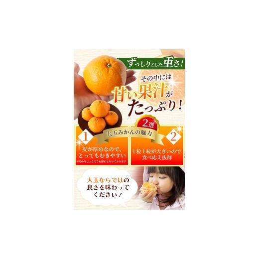 ふるさと納税 果物類 みかん 和歌山県 紀美野町 ボリューム満点 大玉 温州みかん 4kg 秀優混合 2L〜3Lサイズ 2025年12月から2026年3月下旬頃に順次発送 味好農… |  | 05