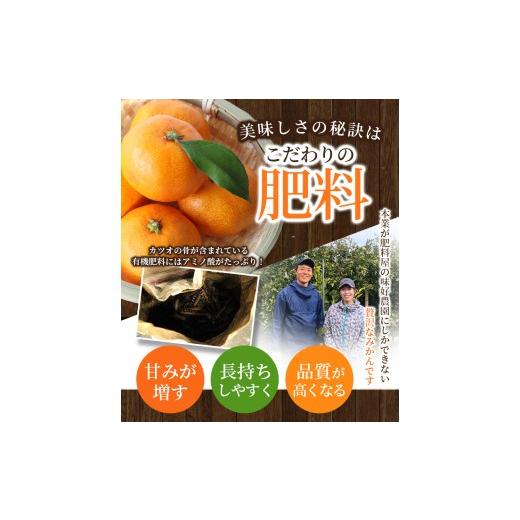 ふるさと納税 果物類 みかん 和歌山県 紀美野町 ボリューム満点 大玉 温州みかん 4kg 秀優混合 2L〜3Lサイズ 2025年12月から2026年3月下旬頃に順次発送 味好農… |  | 06