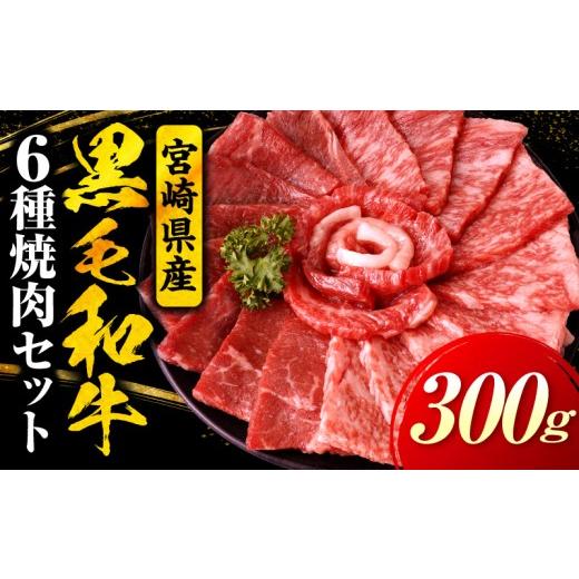 ふるさと納税 牛肉 焼肉・バーベキュー 宮崎県 国富町 宮崎県産黒毛和牛(経産)6種焼肉セット 300g 300g