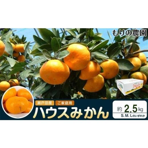 ふるさと納税 広島県 尾道市 瀬戸田産ハウスみかん(ご家庭用) 2.5キロ＜7月1日〜順次発送＞ドルチェみかん フルーツ 柑橘 果物 産直｜furusatochoice｜02