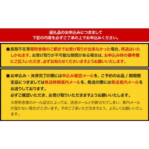 ふるさと納税 水・ミネラルウォーター 500mL〜999mL 大阪府 羽曳野市 ナノバブル水素水 ペットボトル 約500ml 30本 株式会社ヒロシバ《30日以内に出荷予定(土…_6