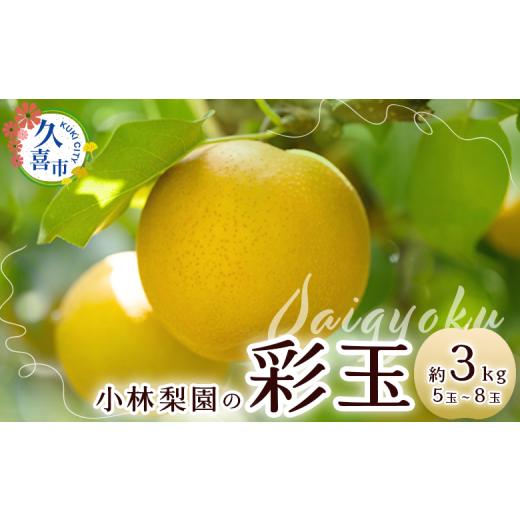 ふるさと納税 梨 埼玉県 久喜市 梨 彩玉 約3kg 5玉〜8玉 先行予約 数量限定 | 梨 なし 彩玉 フルーツ 果物 高級 産地直送 限定品 贈り物 新鮮 お取り寄せ デザ…