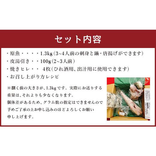 ふるさと納税 フグ 熊本県 上天草市 国産養殖 とらふぐ簡単調理で味わえるセット 吉宝ふぐ 1.3kg ふぐ 河豚 フグ とらふぐ トラフグ 簡単調理 刺身 鍋 から揚…_2