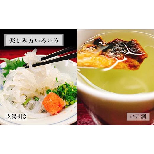 ふるさと納税 フグ 熊本県 上天草市 国産養殖 とらふぐ簡単調理で味わえるセット 吉宝ふぐ 1.3kg ふぐ 河豚 フグ とらふぐ トラフグ 簡単調理 刺身 鍋 から揚…_5