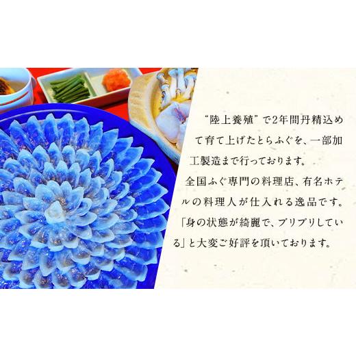 ふるさと納税 フグ 熊本県 上天草市 国産養殖 とらふぐ簡単調理で味わえるセット 吉宝ふぐ 1.3kg ふぐ 河豚 フグ とらふぐ トラフグ 簡単調理 刺身 鍋 から揚…_7