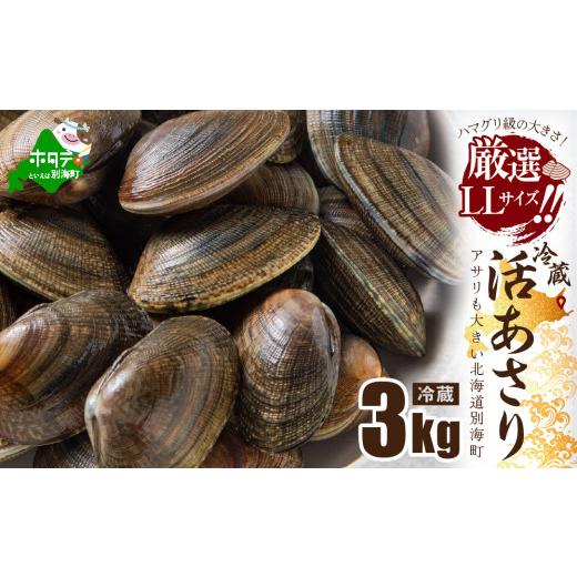 ふるさと納税 魚貝類 あさり 北海道 別海町 北海道 道東産 (活) アサリ中 3kg(北海道 あさり アサリ ふるさとチョイス ふるさと納税 仕組み キャンペーン 限…