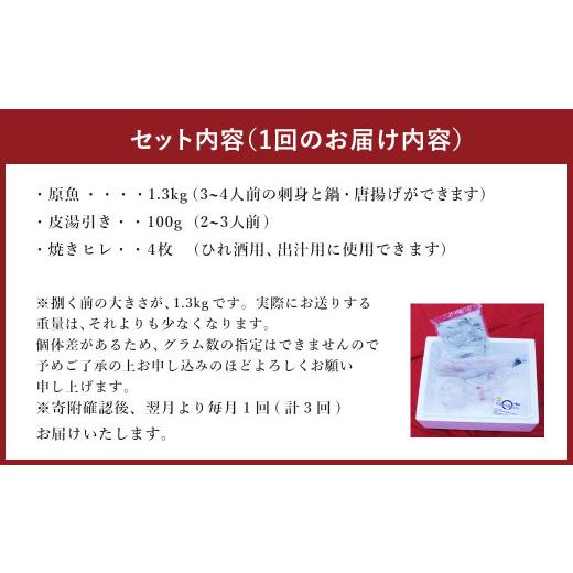 ふるさと納税 フグ 熊本県 上天草市  3ヶ月定期便 国産養殖 とらふぐ簡単調理で味わえるセット 吉宝ふぐ 1.3kg×3回 ふぐ 河豚 フグ とらふぐ トラフグ 鍋 ふ…_2